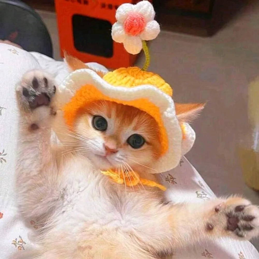 Crochet sun hat for cat